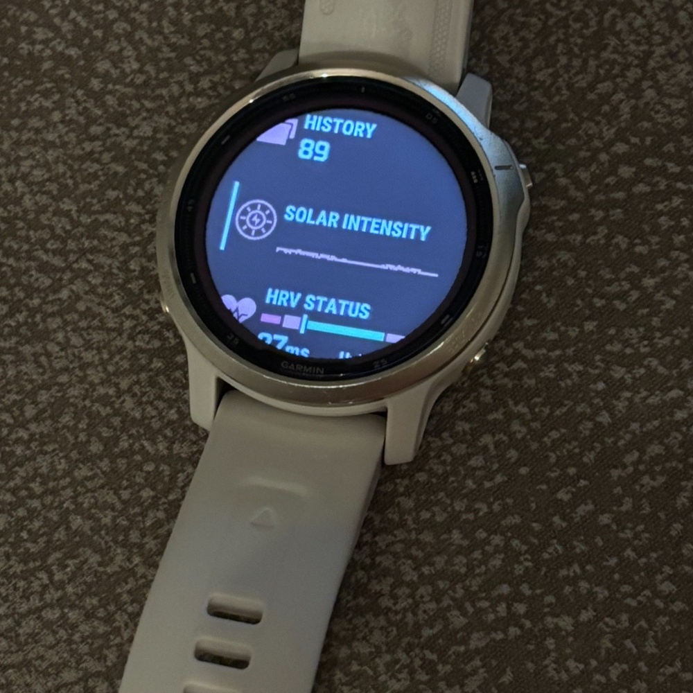 Garmin Fenix 6s Solar smart watch